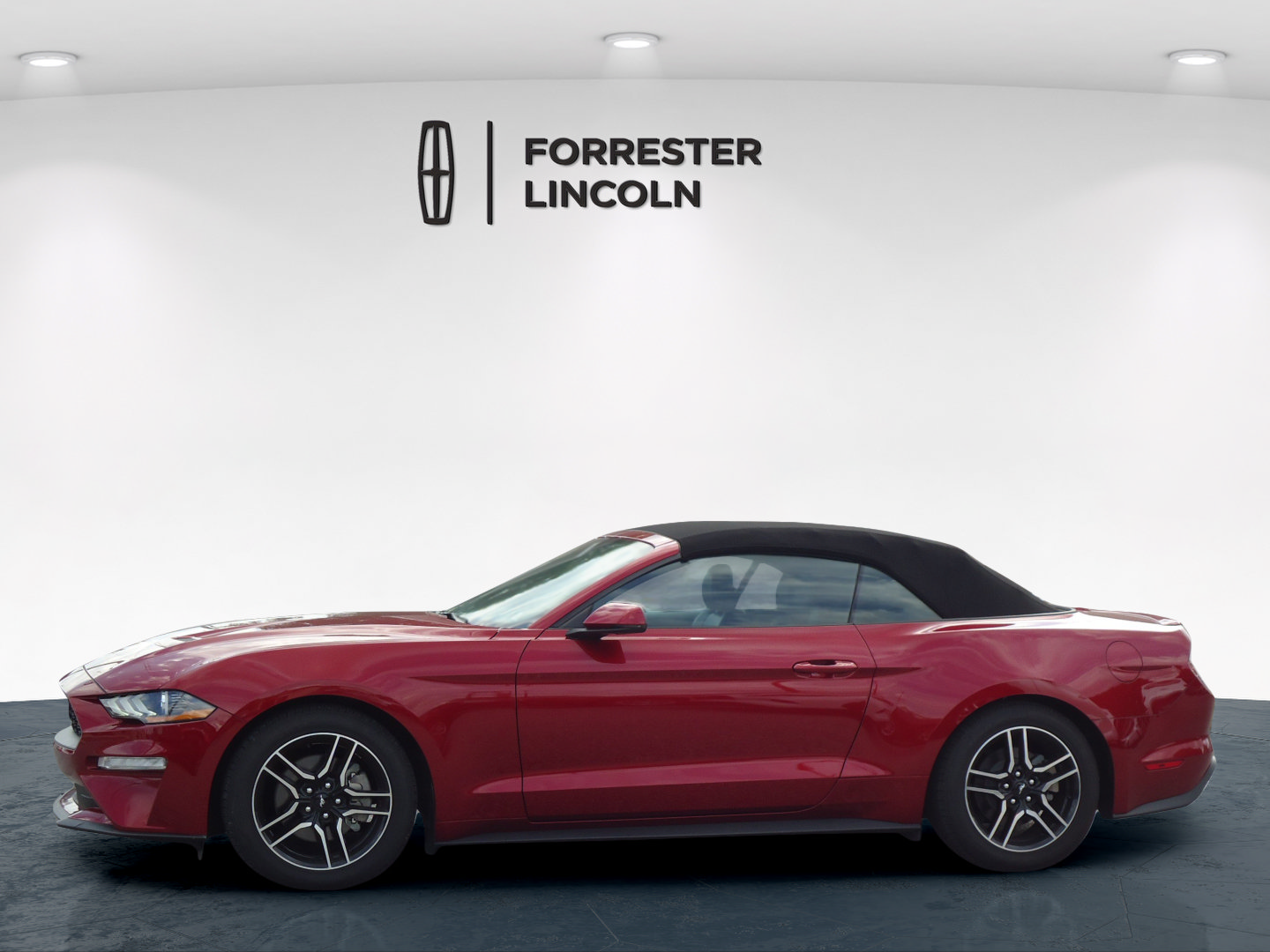 Used 2019 Ford Mustang Premium w/ Equipment Group 201A RWD image 11