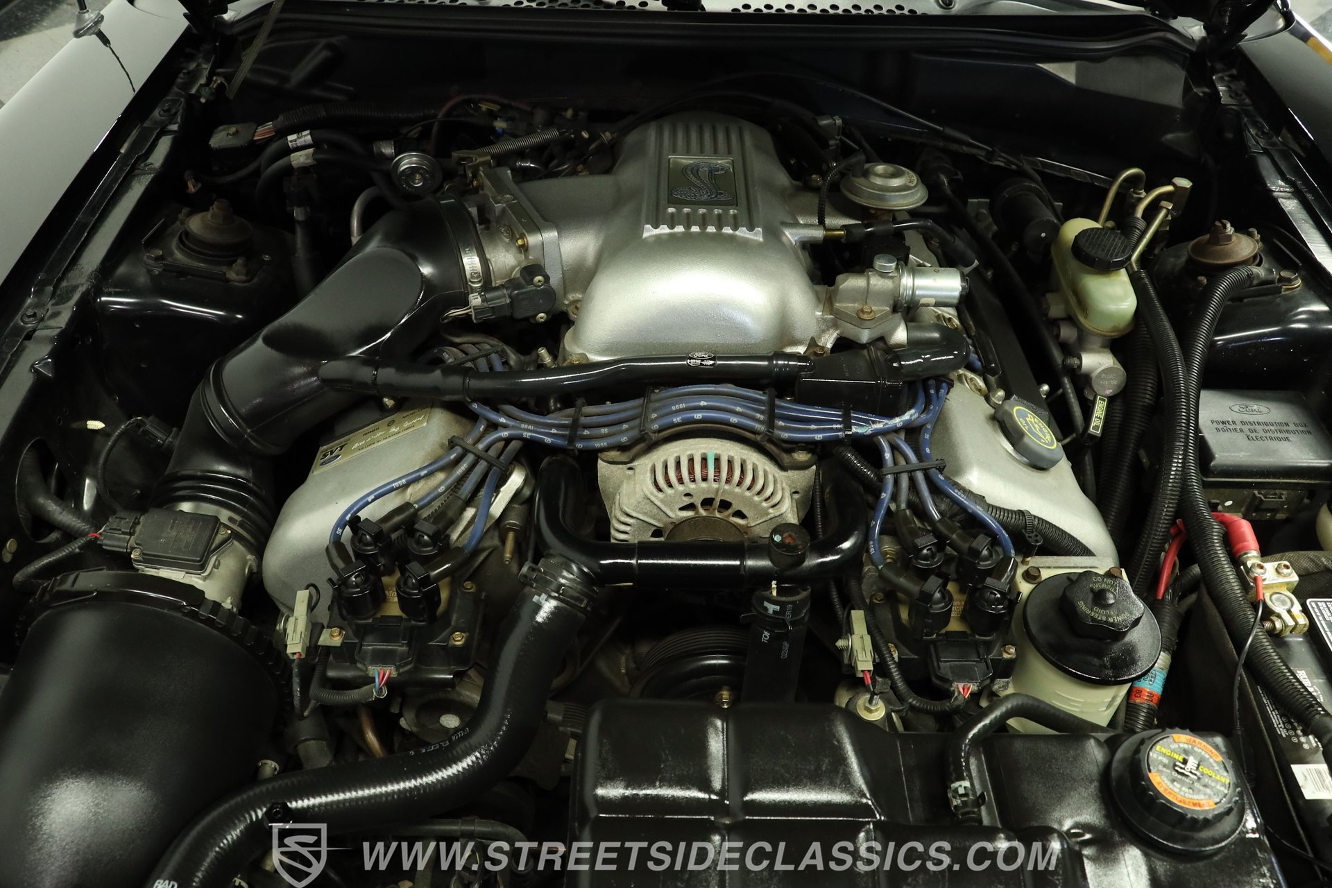 Used 1998 Ford Mustang Cobra RWD image 3
