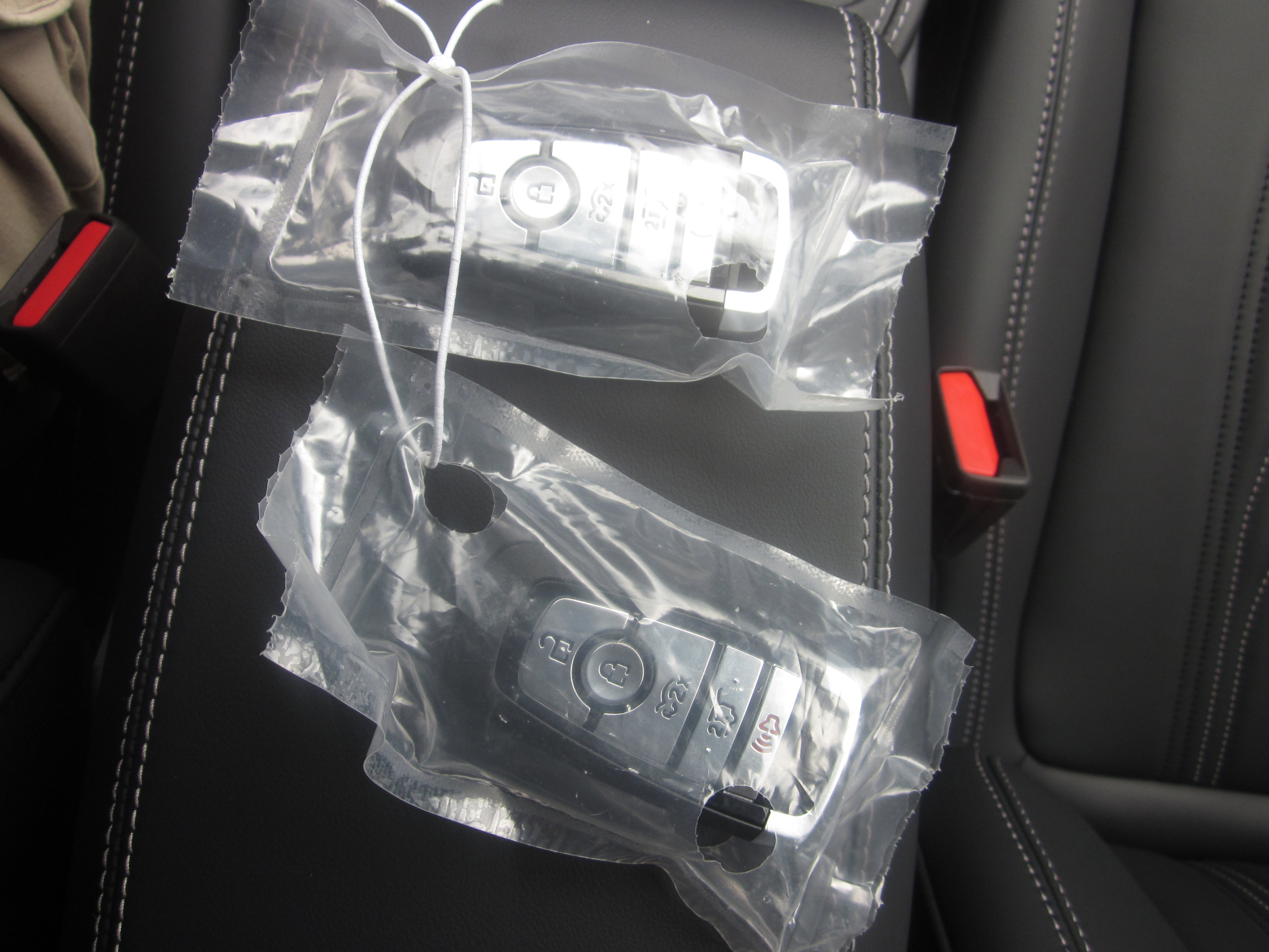 New 2025 Ford Mustang Mach-E Select image 15