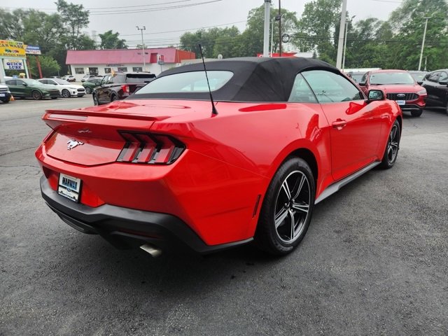 Used 2024 Ford Mustang Premium image 8