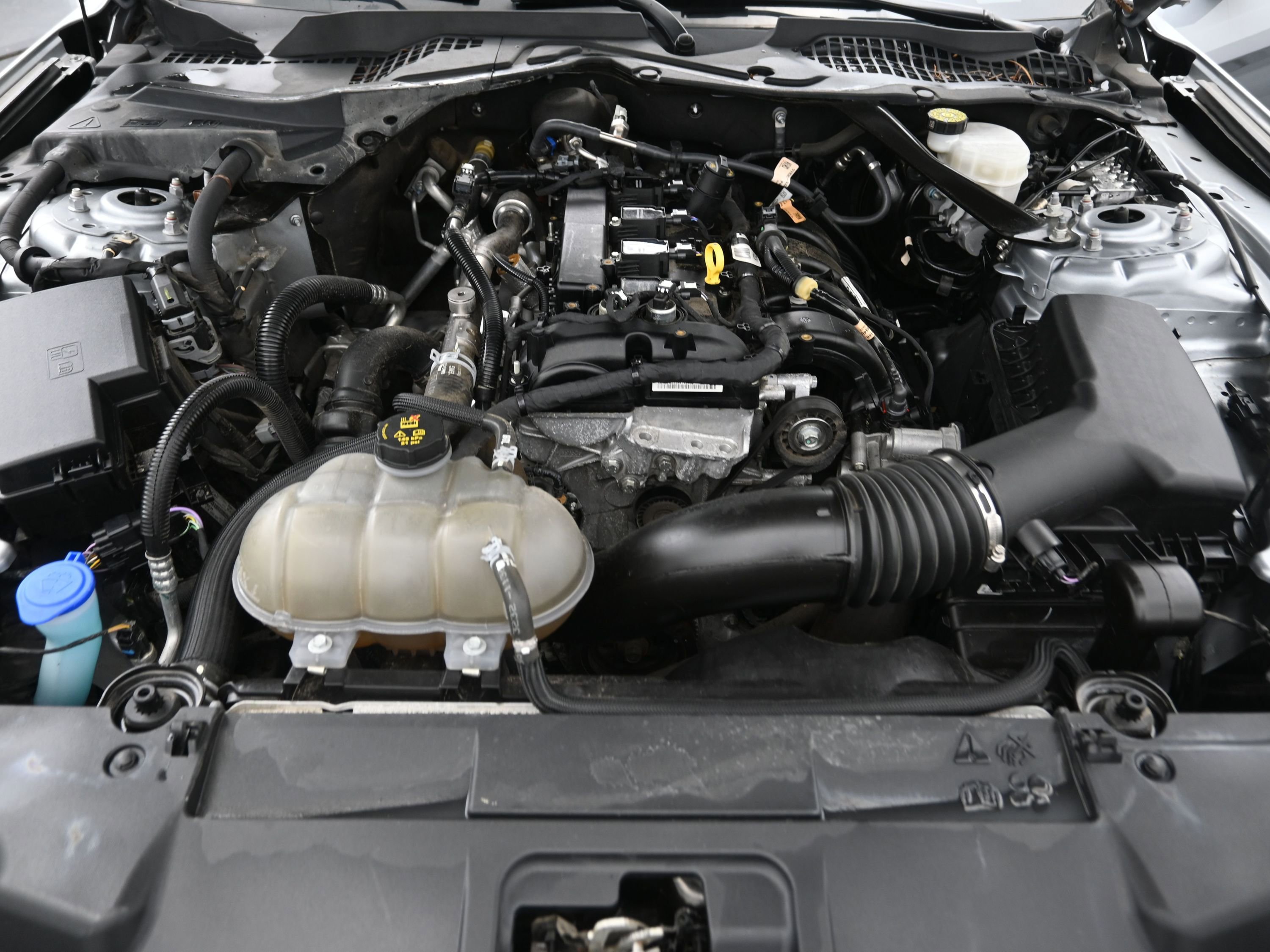 Used 2023 Ford Mustang Premium image 17