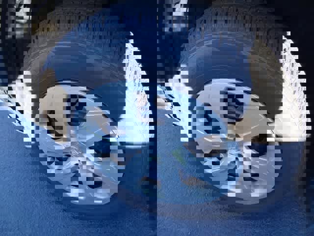 Certified 2023 Toyota RAV4 LE image 14