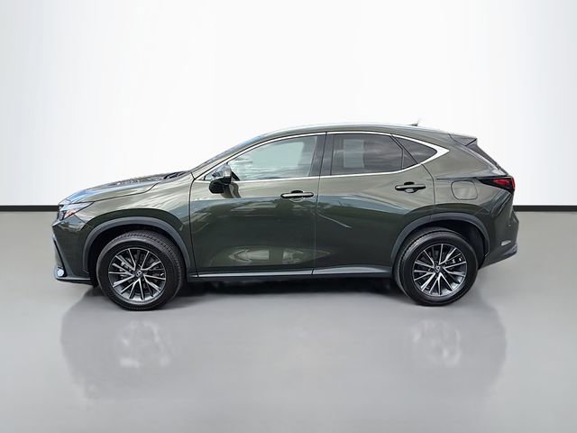 Used 2023 Lexus NX 350 AWD image 4