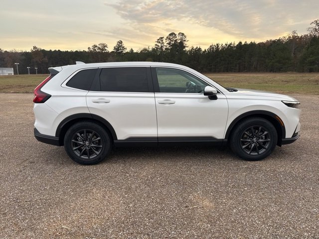 New 2026 Honda CR-V EX-L image 7