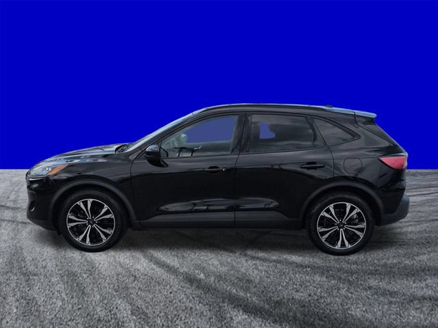 Certified 2022 Ford Escape SEL w/ SEL Stealth AWD Package image 7