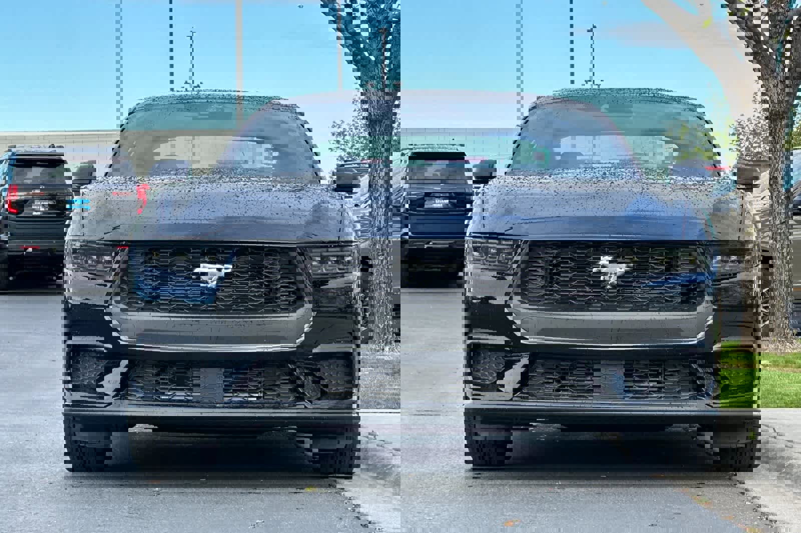 Certified 2026 Ford Mustang Coupe RWD image 10