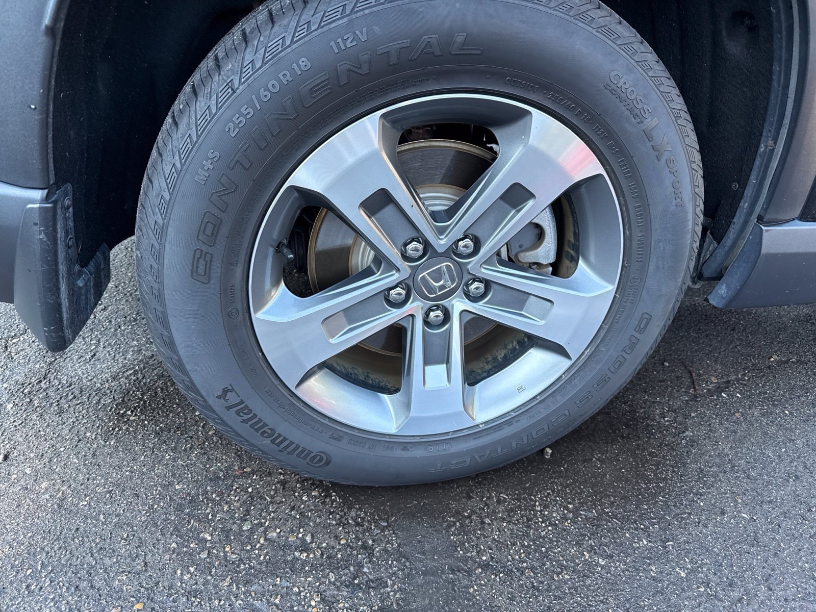Certified 2025 Honda Pilot EX-L image 10