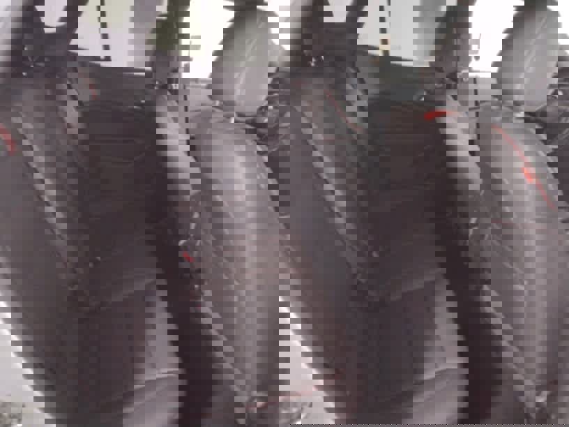 Used 2024 Chevrolet Trax RS w/ Sunroof Package image 27