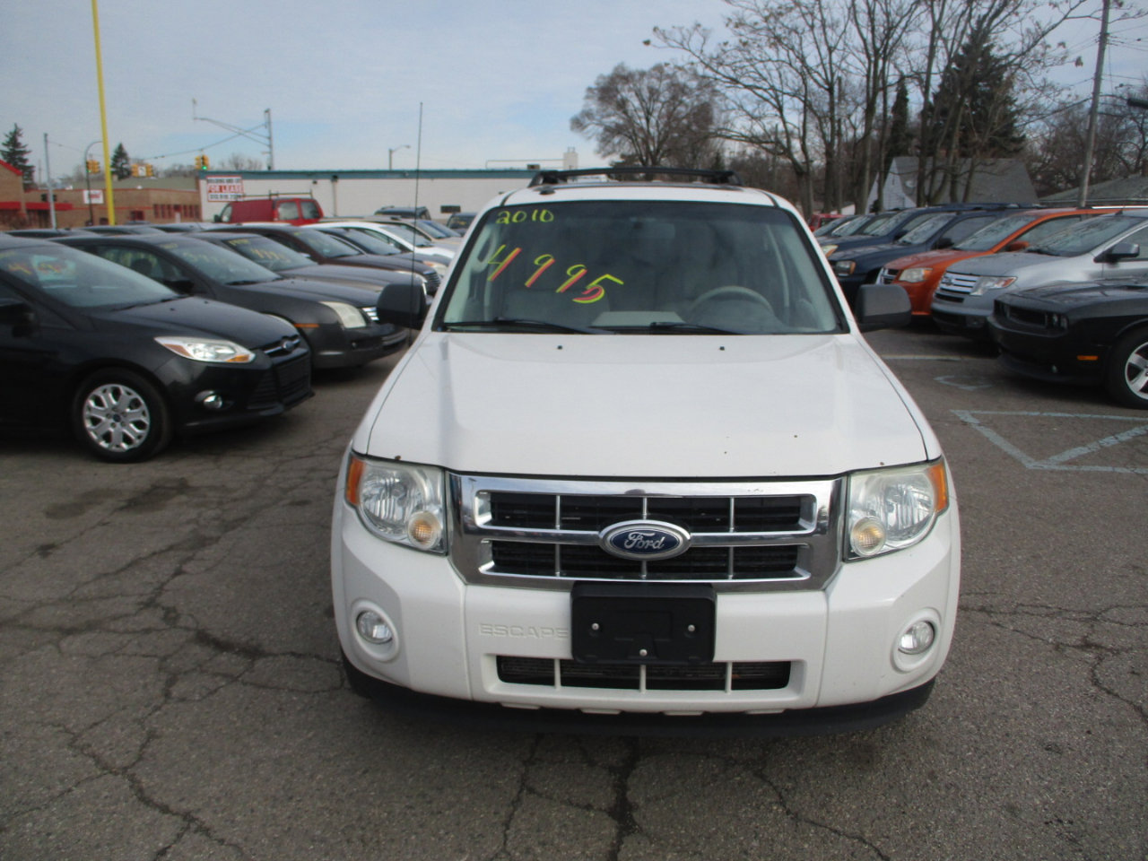 Used 2010 Ford Escape XLT image 3