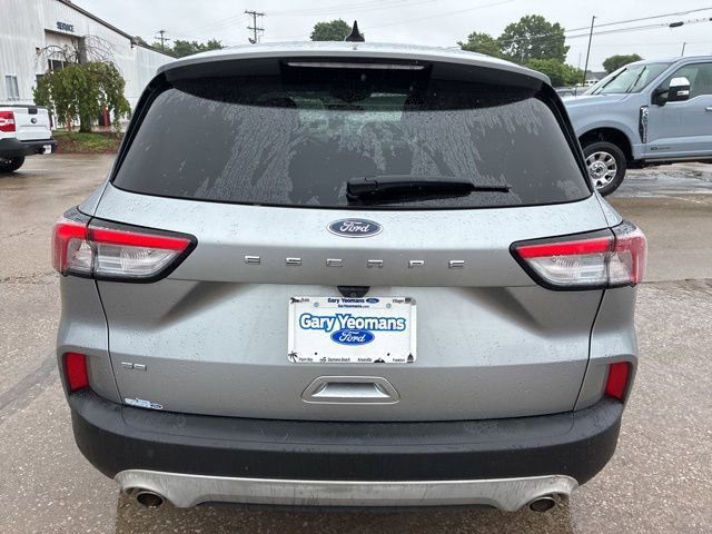 Used 2021 Ford Escape SE w/ Cold Weather Package FWD image 6