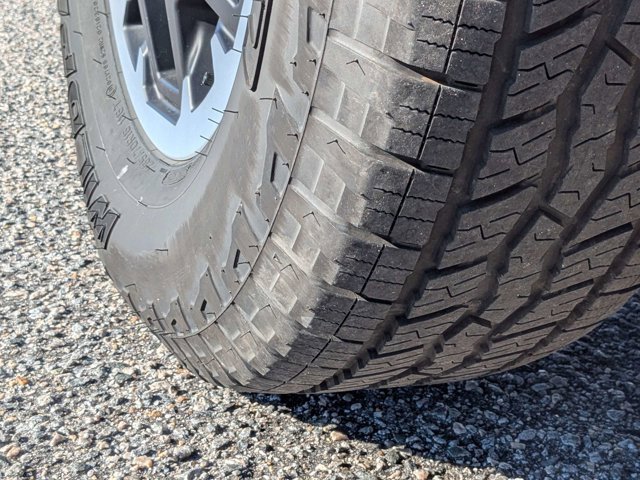 Used 2025 Toyota 4Runner TRD Off-Road Premium image 13