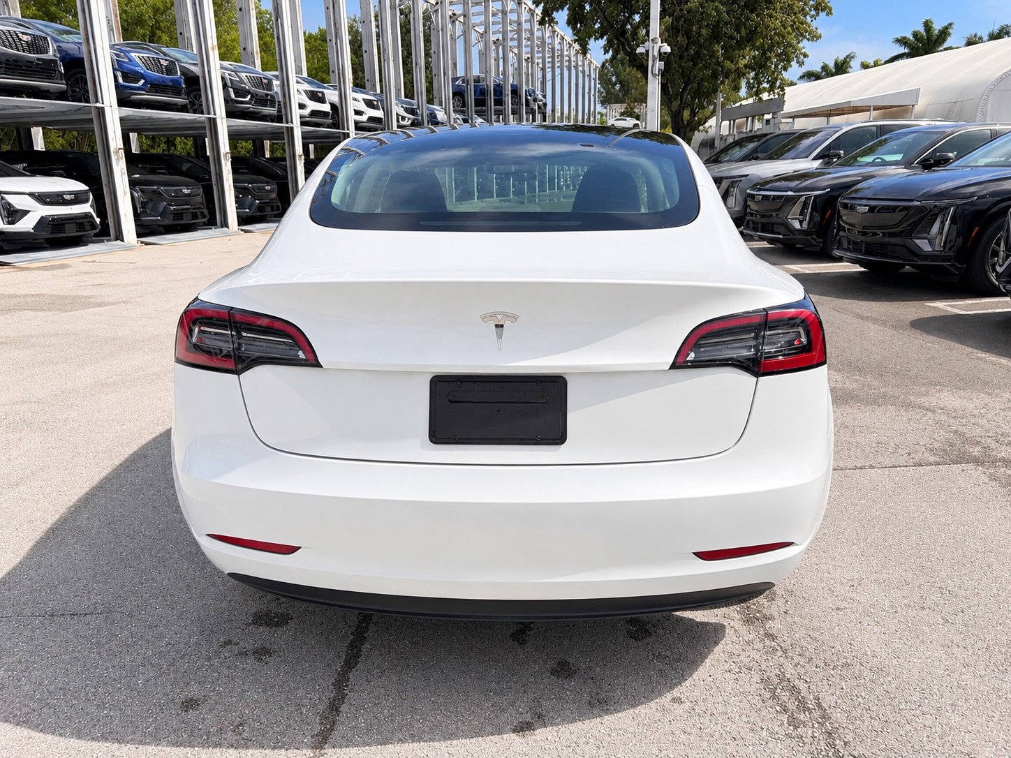 Used 2023 Tesla Model 3 Standard Range RWD image 4