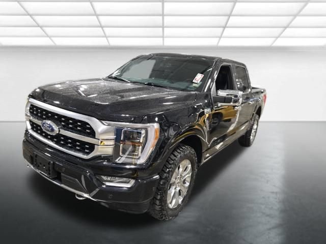 Used 2021 Ford F150 Platinum w/ Equipment Group 701A High AWD/4WD image 9