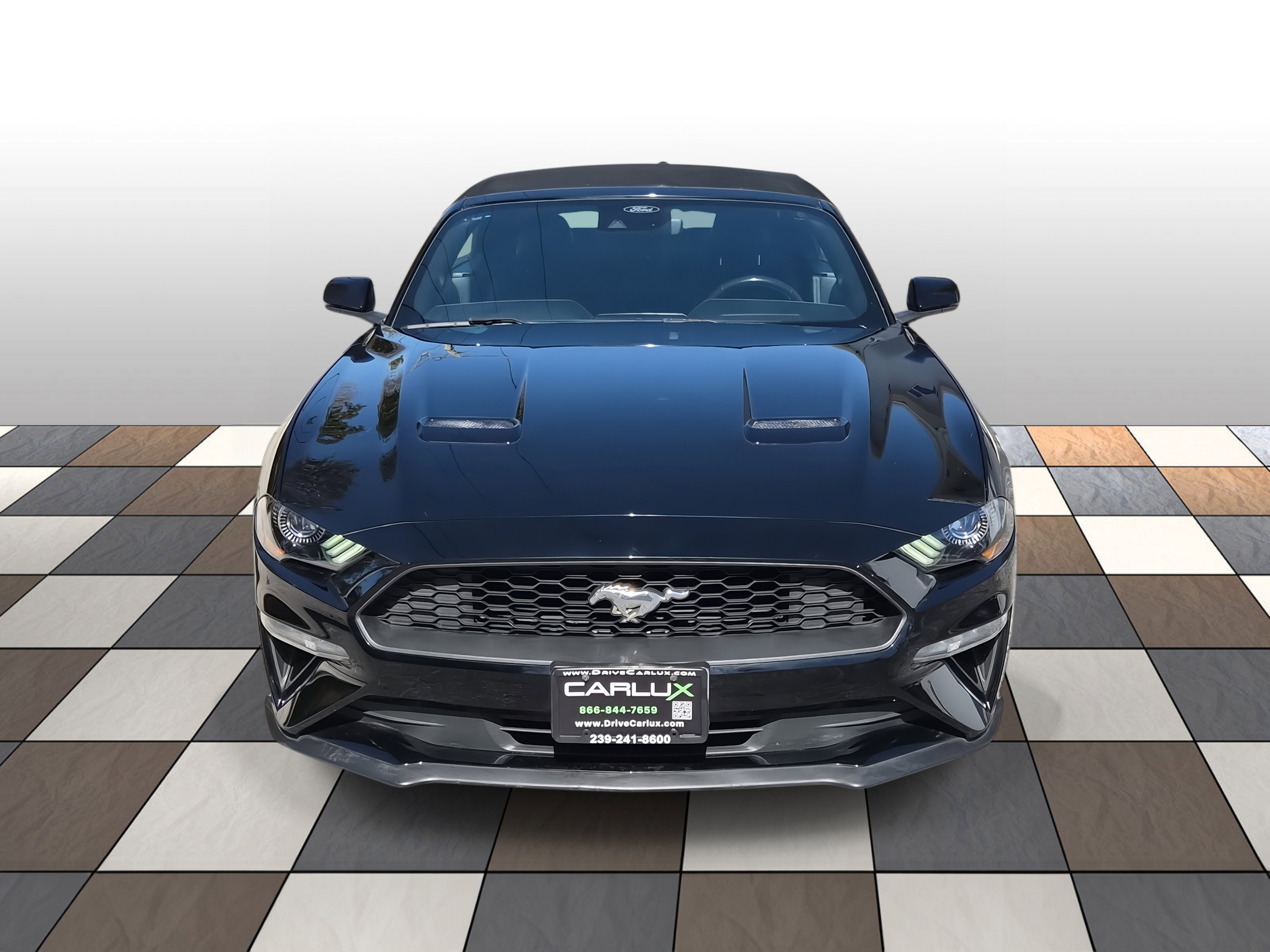 Used 2023 Ford Mustang Premium w/ Equipment Group 201A image 2