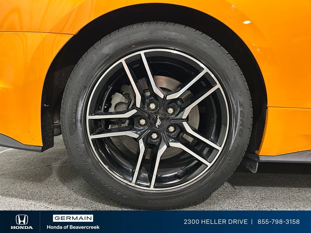 Used 2019 Ford Mustang GT Premium w/ Equipment Group 401A RWD image 10