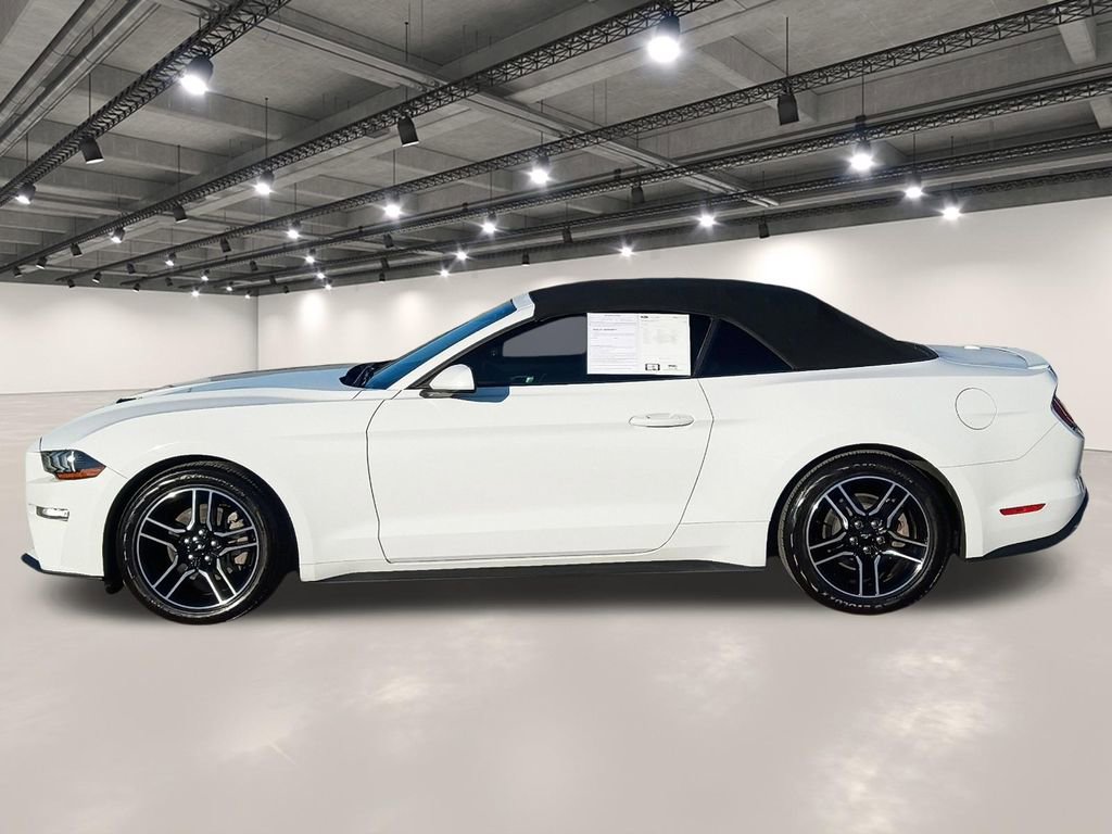 Used 2022 Ford Mustang Premium image 13