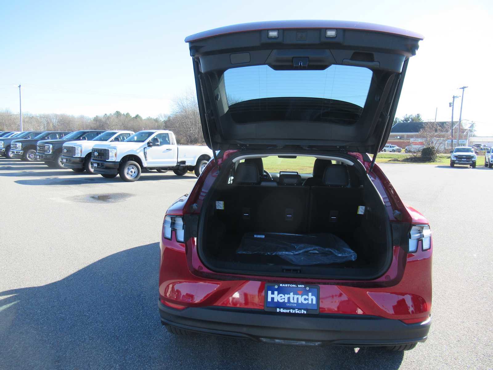 New 2024 Ford Mustang Mach-E Select w/ Comfort Package Lite image 16