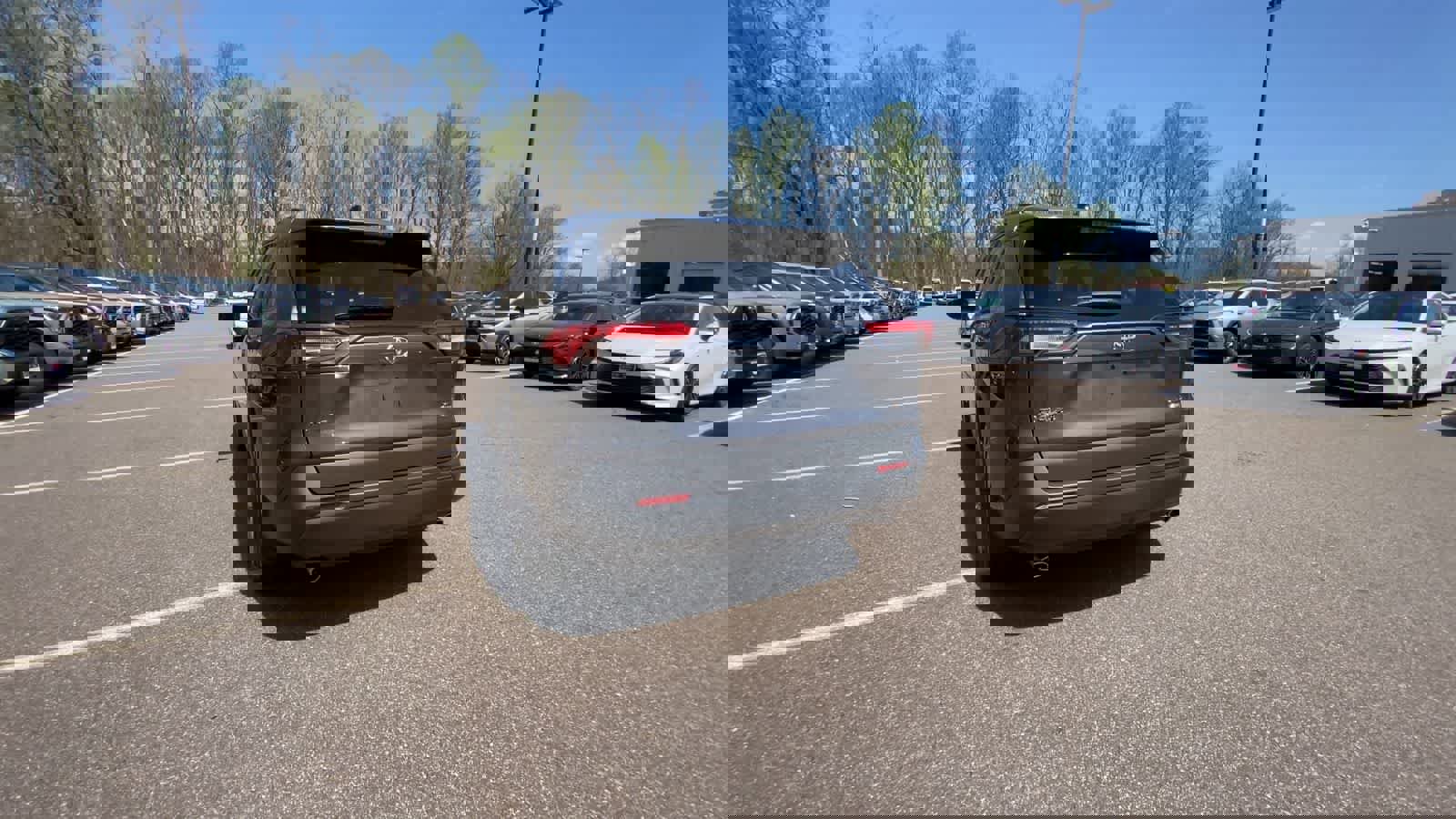 Certified 2023 Toyota RAV4 XLE Premium image 12