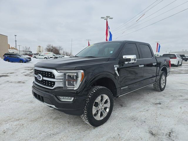 Used 2021 Ford F150 Platinum w/ Equipment Group 701A High image 9