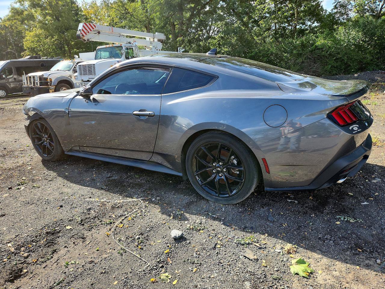 Used 2024 Ford Mustang Premium RWD image 4