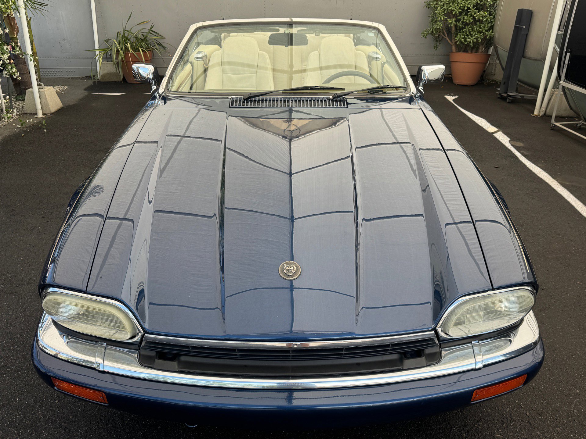 Used 1995 Jaguar XJS 4.0 Convertible image 5