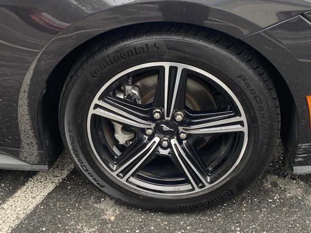 Used 2024 Ford Mustang Premium image 11