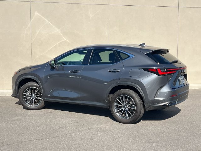 Used 2025 Lexus NX 350 AWD w/ Cold Area Package image 6