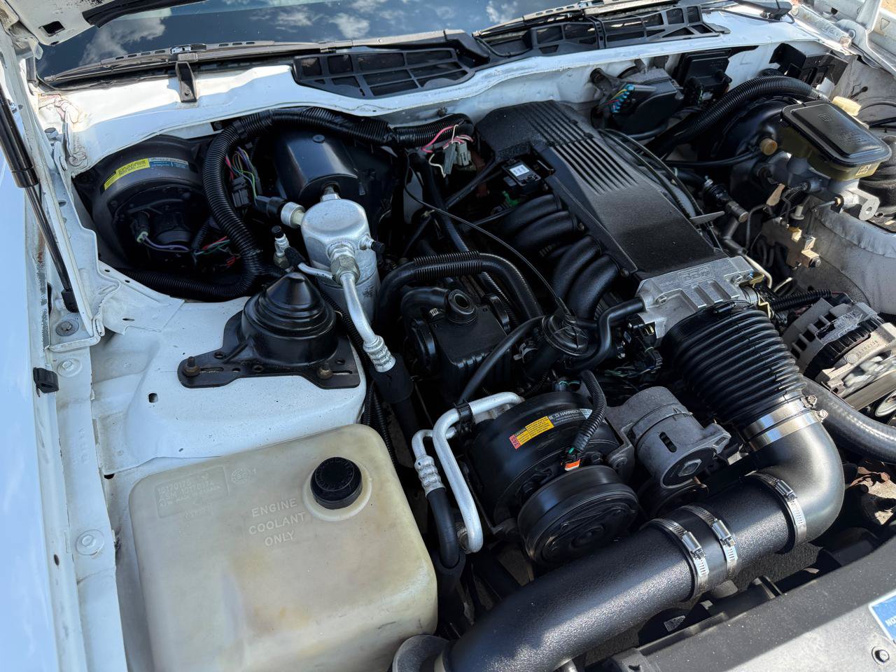 Used 1991 Pontiac Firebird Trans Am RWD image 11
