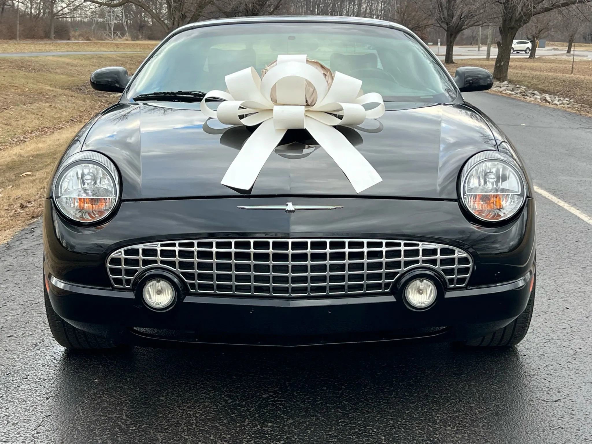 Used 2002 Ford Thunderbird Convertible 2D image 2