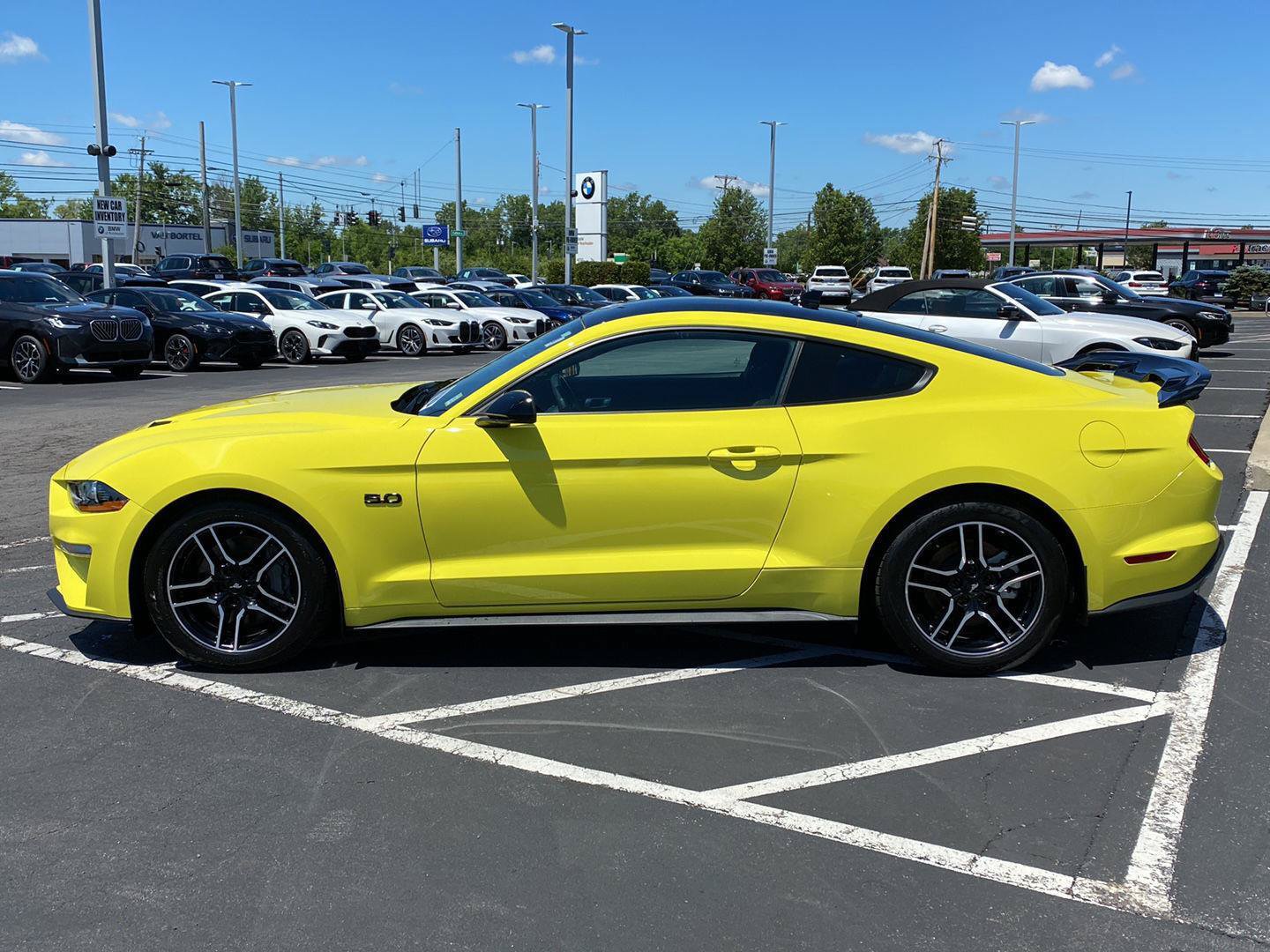 Used 2021 Ford Mustang GT w/ Equipment Group 301A RWD image 12