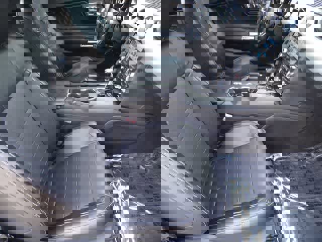 Used 2016 Ford Mustang Premium w/ Equipment Group 201A image 11