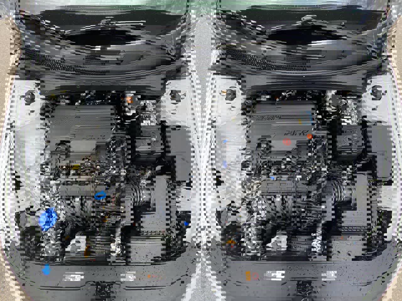 Used 2025 Hyundai Elantra SEL image 26