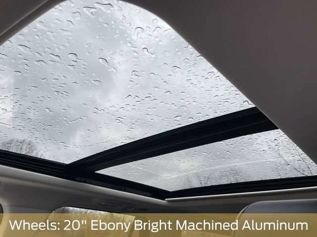 Used 2025 Ford Expedition Max Platinum image 17