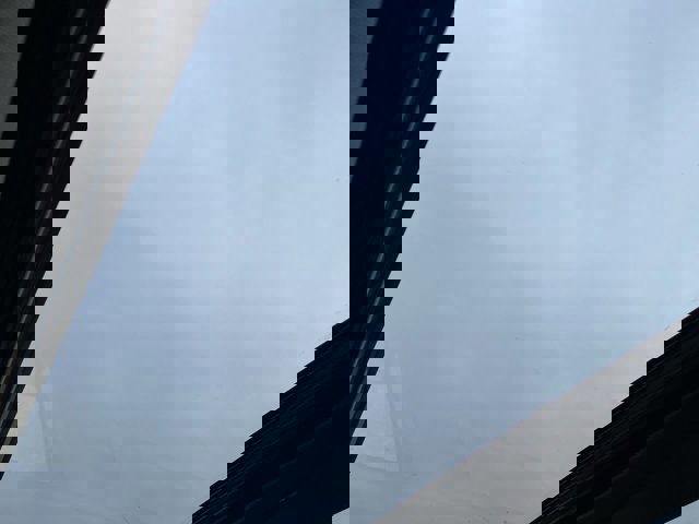 Used 2019 Toyota RAV4 Limited image 19