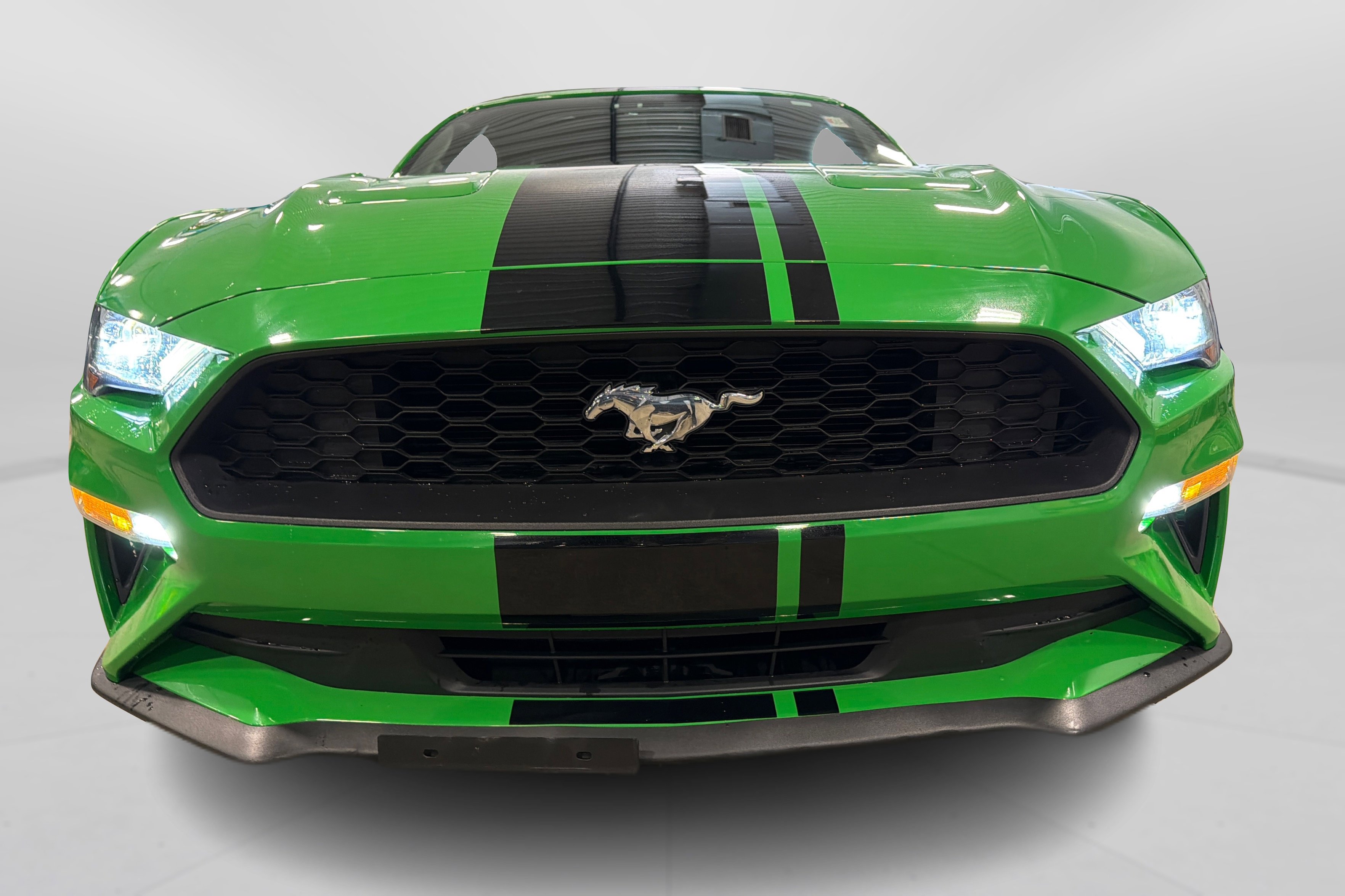Used 2019 Ford Mustang Premium RWD image 10