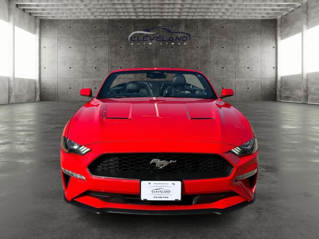 Used 2022 Ford Mustang Premium image 7