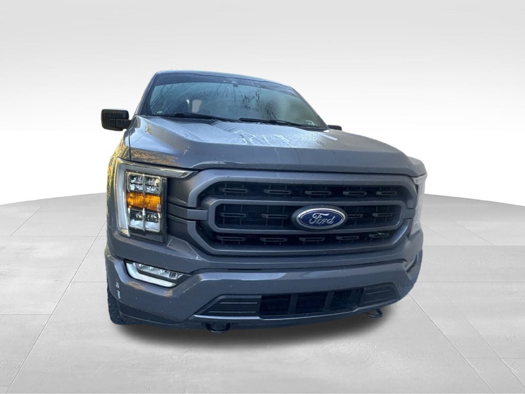 Used 2021 Ford F150 XLT w/ Equipment Group 302A High AWD/4WD image 6