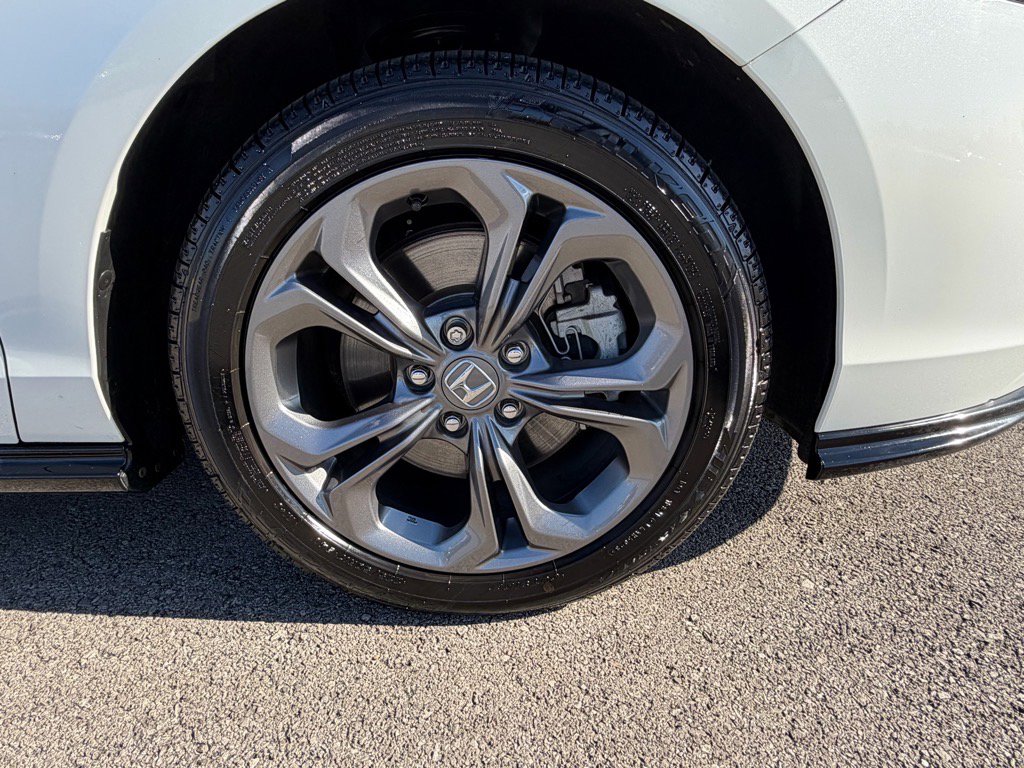 Used 2023 Honda Accord EX-L image 6