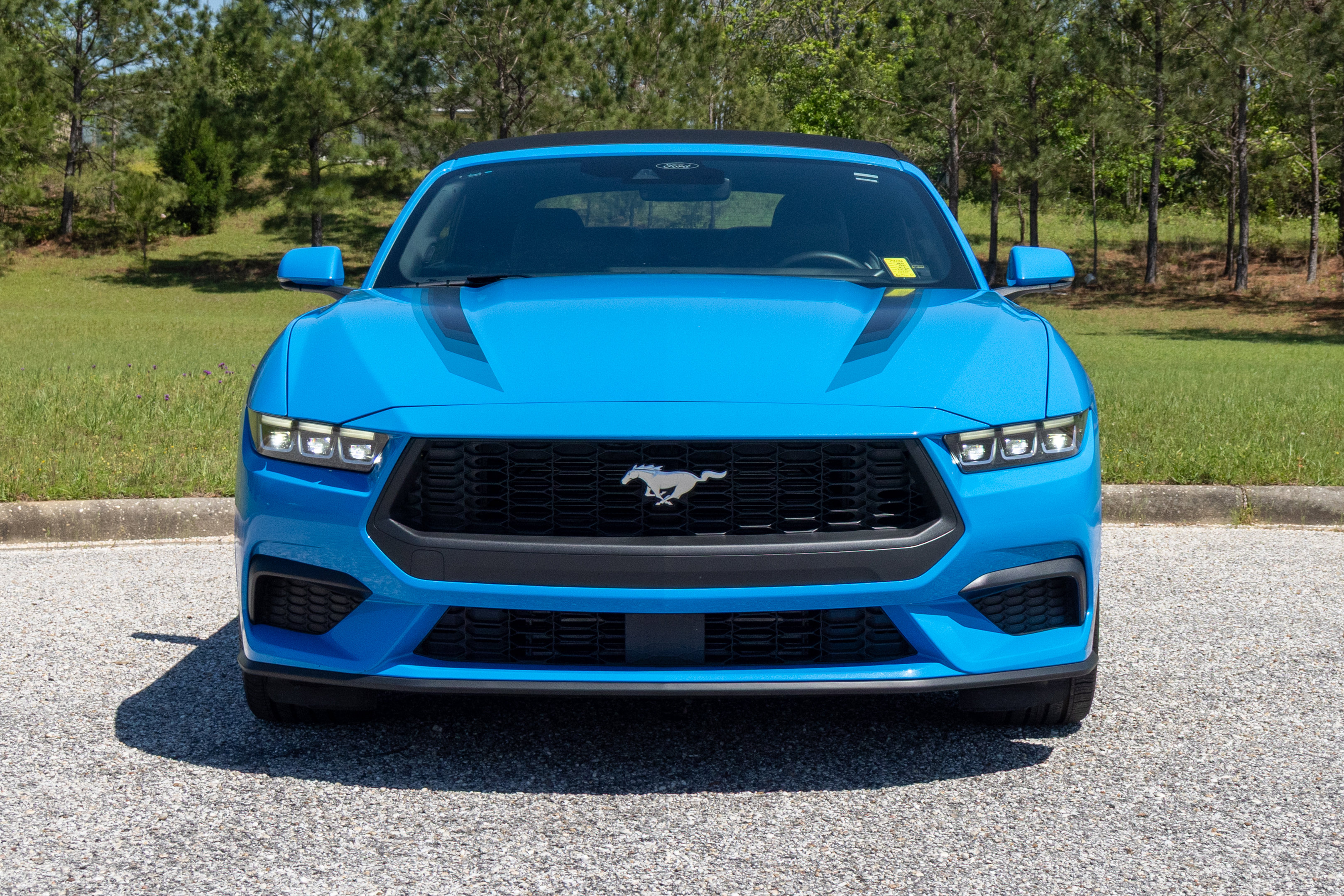 Used 2024 Ford Mustang Premium RWD image 2