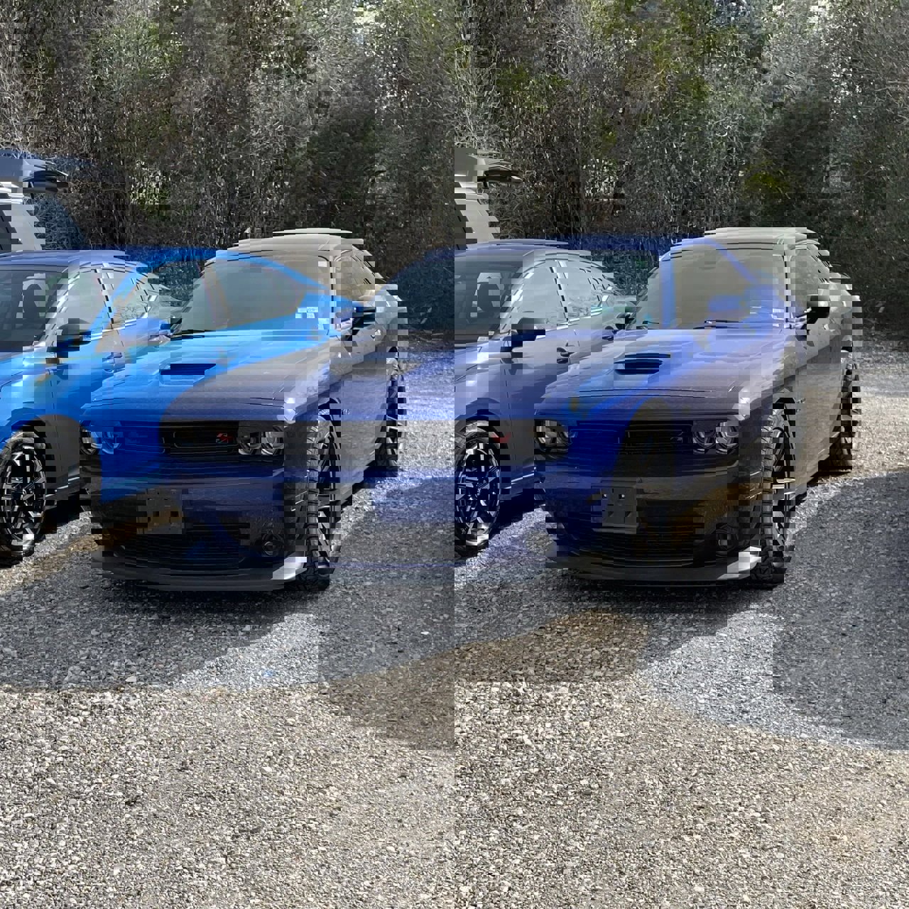 Used 2021 Dodge Challenger R/T w/ Blacktop Package