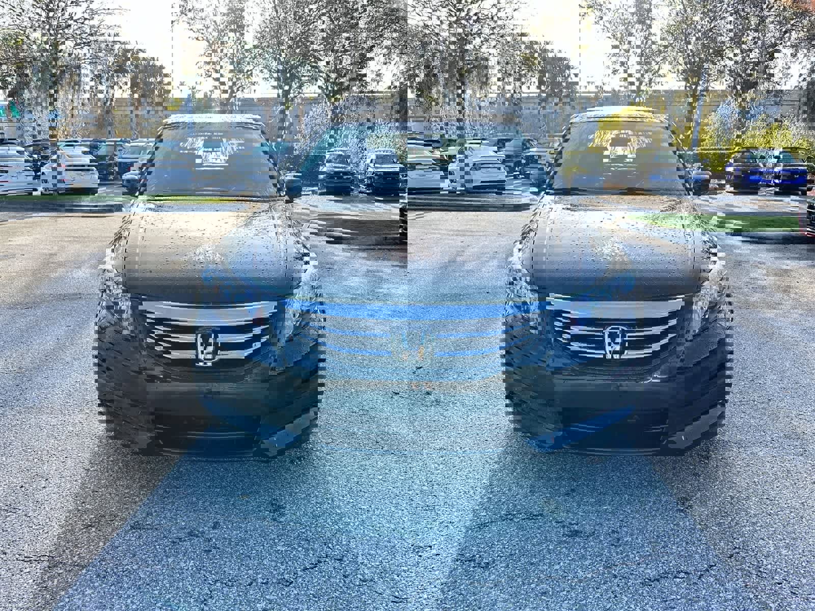 Used 2012 Honda Accord SE image 9