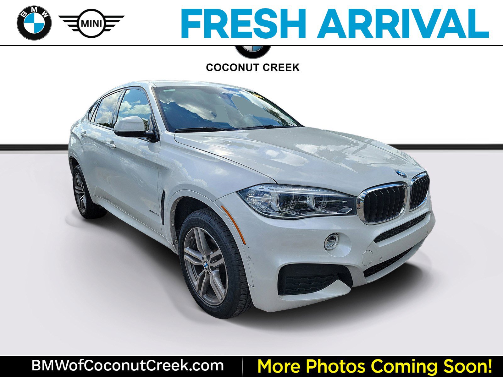 Used 2019 BMW X6 xDrive35i w/ M Sport Package AWD/4WD image 1