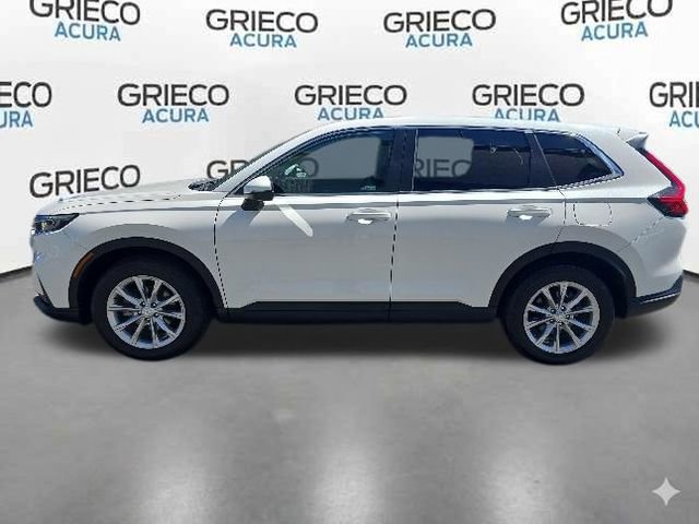 Used 2024 Honda CR-V EX-L image 5