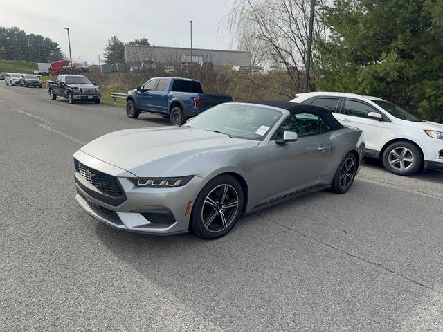 Used 2024 Ford Mustang Premium image 2