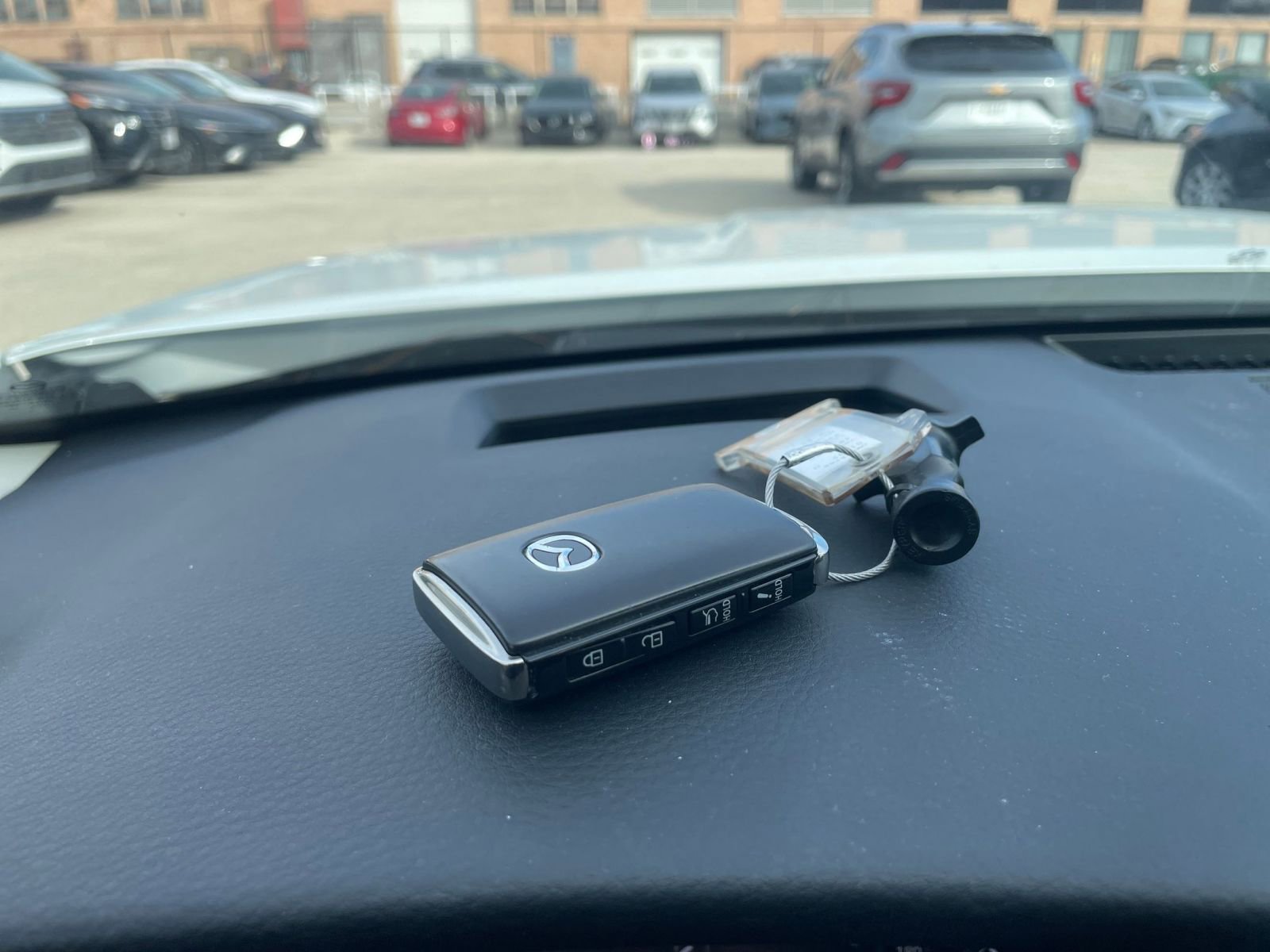 Used 2025 MAZDA CX-50 2.5 Hybrid w/ Premium Plus Pkg AWD/4WD image 21