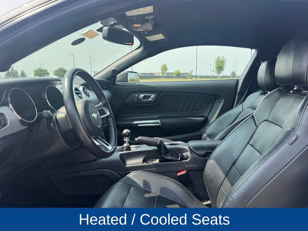 Used 2017 Ford Mustang Premium w/ Wheel & Stripe Package RWD image 8