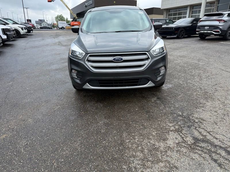 Used 2019 Ford Escape SE AWD/4WD image 2