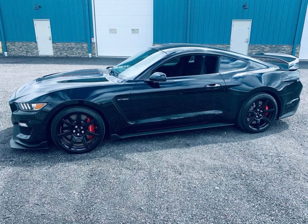 Used 2016 Ford Mustang Shelby GT350R w/ GT350R Equipment Group 920A image 1