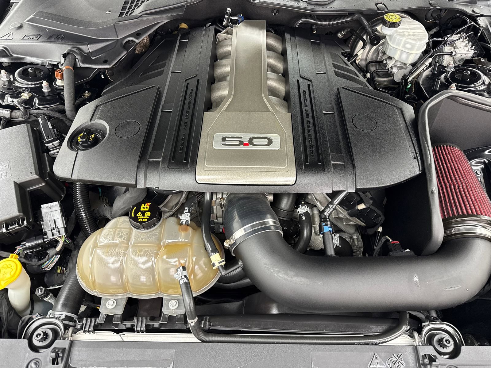 Used 2020 Ford Mustang GT RWD image 49