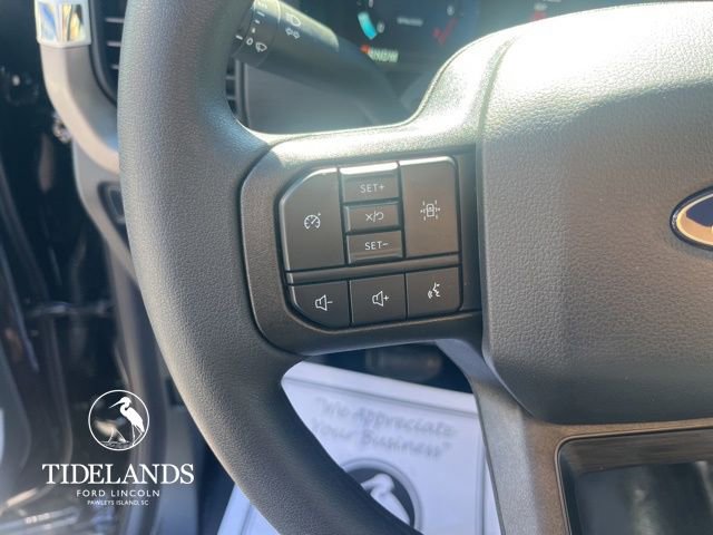 New 2025 Ford F150 XL w/ Equipment Group 103A High image 25